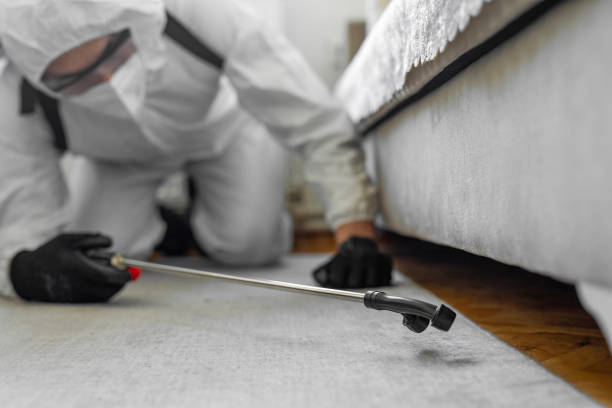 Professional Termite Control technician working in Salisbury, NY