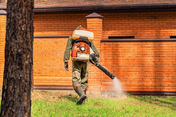 Trusted Rodent Control service in Salisbury, NY - Nex Pest Control